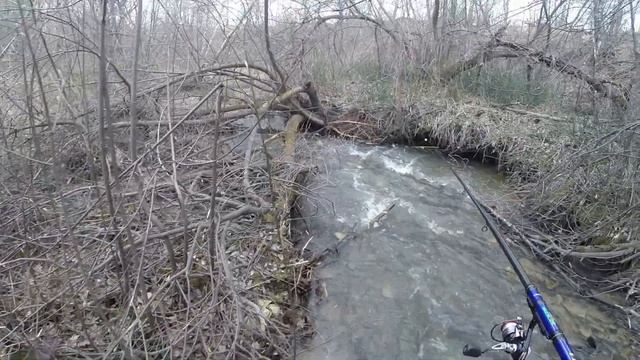 ХАРИУСЫ ИДУТ НА НЕРЕСТ Вижу ТАКОЕ Впервые! Ловлю САЧКОМ рыбу и отпускаю! Рыбалка на Хариуса в Мае! смотреть онлайн
