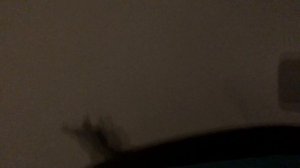 FNAF В РЕАЛЬНОЙ ЖИЗНИ! СПРИНГТРАП существует?! Нападение аниматроников!