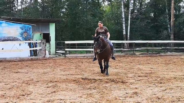 26 августа 2019 г. смотреть онлайн