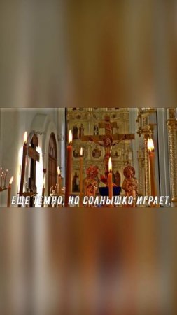 https://rutube.ru/channel/23959914/