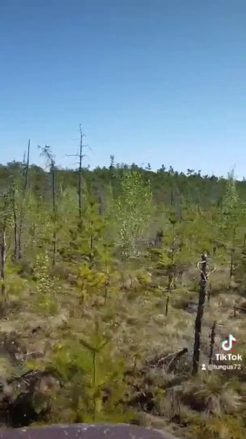 Болотоход-Вездеход #каракат#вездеход#тайга#туризм#путишествия смотреть онлайн