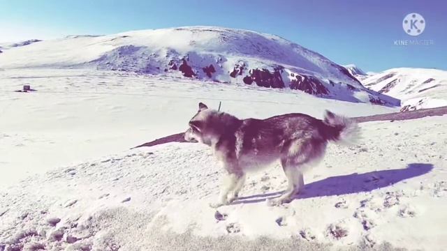 Начиная путь с улыбки смотреть онлайн