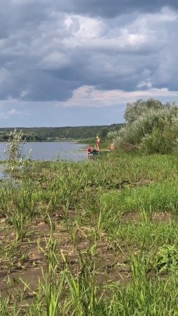 Лес за городом