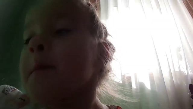 Попугай барсук мыша крыса бурундук попугай барсук Мыша крыса бурундук смотреть онлайн