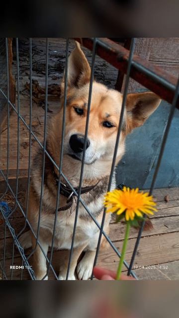 подписывайтесь на мой ТГК смотреть онлайн