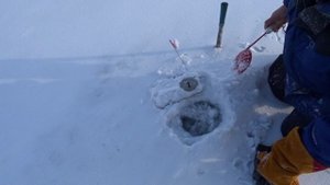 Озеро Бархатово. Жерлицы.