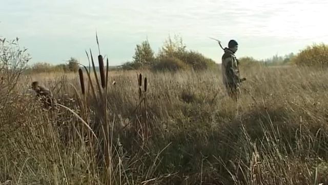 19 10 15 Поисковики и земля для многодетных смотреть онлайн