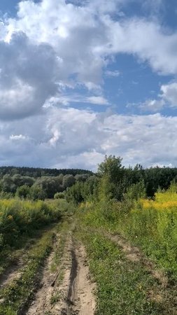 На лугу за городом.
Тульская область