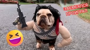 ЗАСМЕЯЛСЯ ПРОИГРАЛ, ЛУЧШИЕ ПРИКОЛЫ, отборный юмор, топ 10 приколов