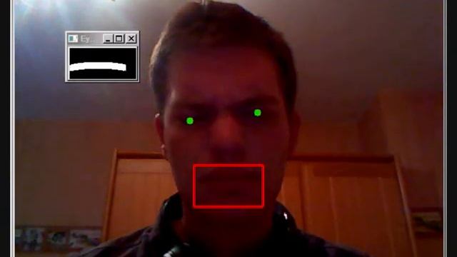 BAP: Eyebrow detection using Canny edge detection (RAW)