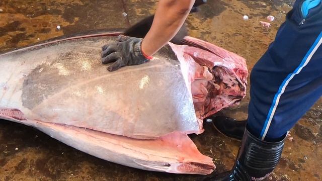 438 kg Super-Giant Bluefin Tuna Fluent and Gorgeous Cutting Skills смотреть онлайн