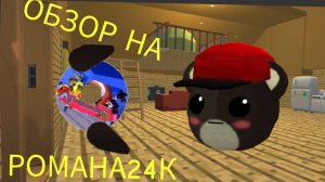 Обзор на Дебилоида года - романа24k! *зря я туда полез*