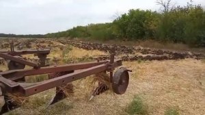 Август 2021, пахота , МТЗ 1025.2 , ПЛН-4-35.