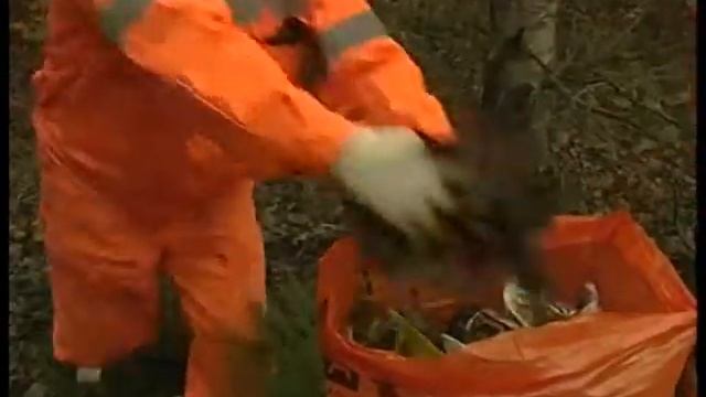 Акция компании Мехуборка "Чистый лес" в Нижнем Новгороде смотреть онлайн