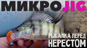 Такие окуни клюют не каждый день ► МИКРОДЖИГ