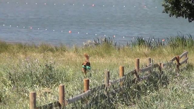 CLA Game Fair 2013 (2) смотреть онлайн