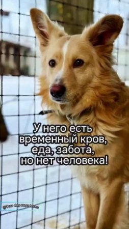 Друзей не бросаем