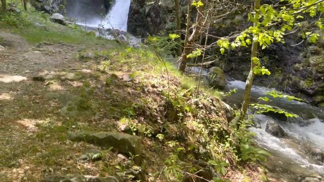 Водопад горица смотреть онлайн