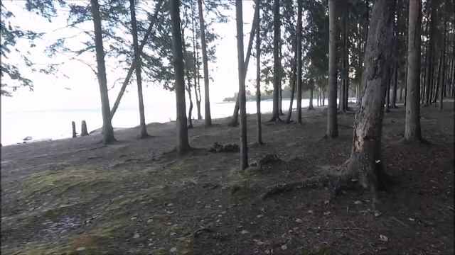 Прогулка до озера. смотреть онлайн