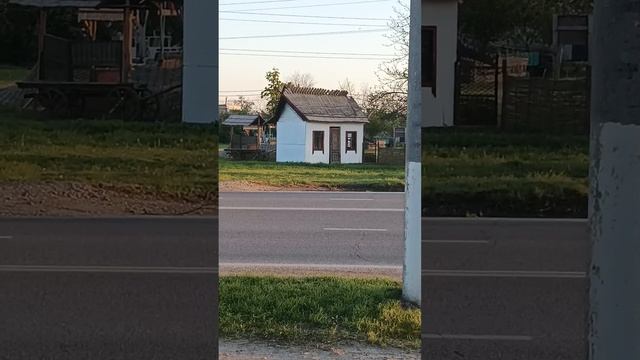 Видеоблогер