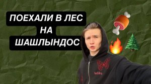 Поехали в лес на шашлындос