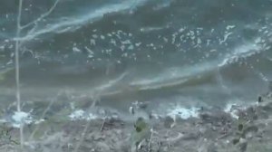 Дон под Серафимовичем