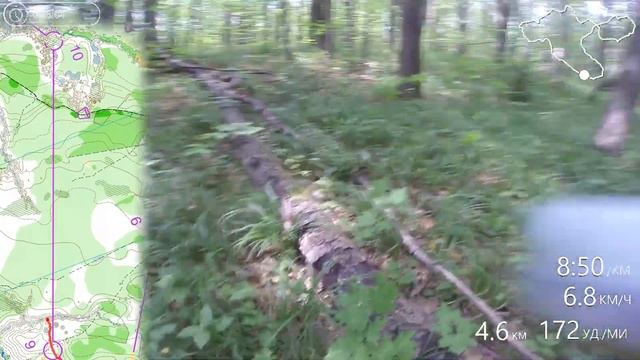 Волжские просторы - Ворсма, лонг, ориентирование от первого лица, Краснояров Е. headcam orienteerin