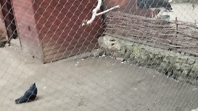 1000030107.mp4