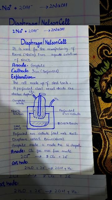 NELSON CELL/ DIAPHRAGM CELL/ NAOH Manufacturing смотреть онлайн