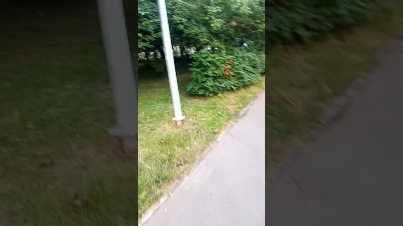 осваиваюсь на новом месте