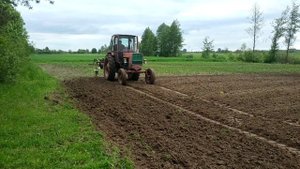 Культивация на ЮМЗ 6кл ТУРБО