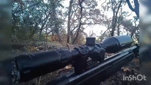 Нужен ли мощный прицел на пневматику ППП??!!