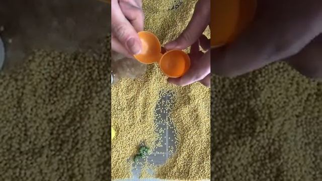 Сенсорная коробочка. Весело играем с малышами дома