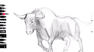 Как нарисовать быка