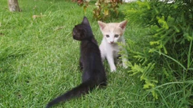 My story | ammayariyathe today | 29-3 смотреть онлайн