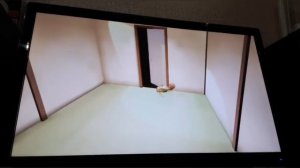 Баги,пасхалки,26 уровень.Офигенный финал Бена и Эда - Ben and Ed Прохождение #10 (Жутейший финал)