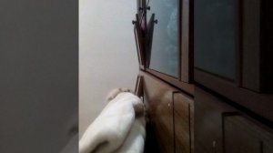поп ит, или симпл димпл?