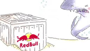 Red Bull Energy Drink For sale
