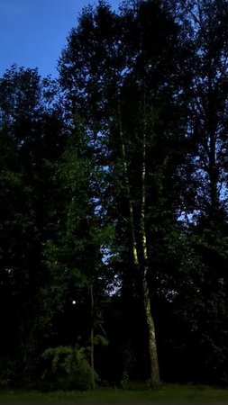 Вечер в парке