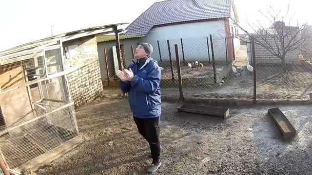 Гоним голубей/ Николаевские голуби Андрей Животовский/ смотреть онлайн