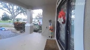 FailArmy. Fails of the Week  Crazy and Outrageous 🫨