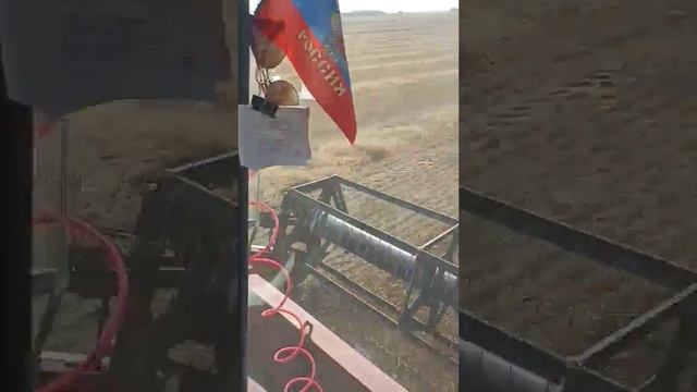 Уборка урожая. Привет деревенского лета смотреть онлайн