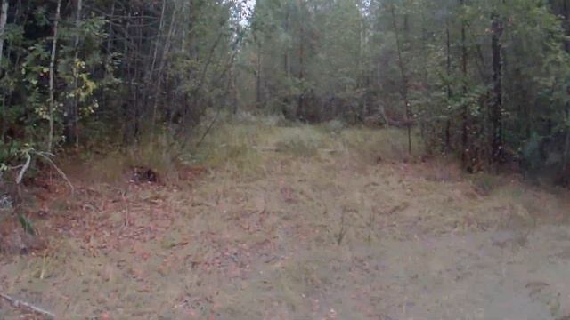 ЛИТОЙ МЕТАЛЛ СБРОС, КОП МЕТАЛЛОЛОМА ПОД ЛЭП В ТАЙГЕ! смотреть онлайн