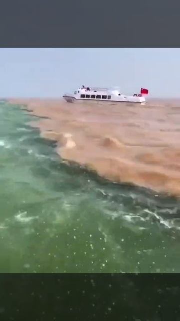  Слияние двух рек Рио-Негро и Солимойнс в штате Амазонасразилия 