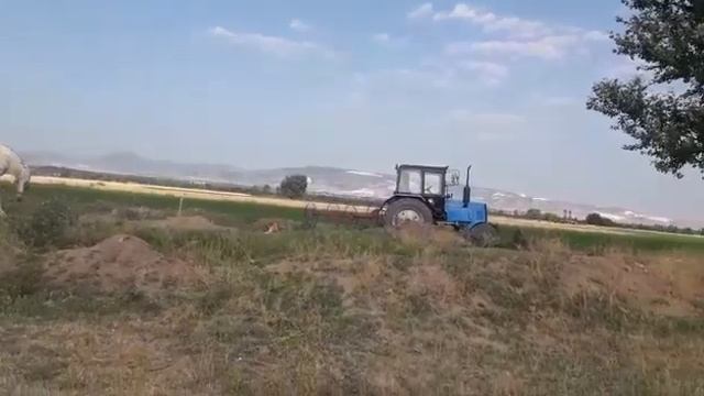 Трактор Солис 90 (Solis 90) смотреть онлайн