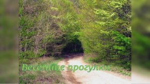 Весенние прогулки