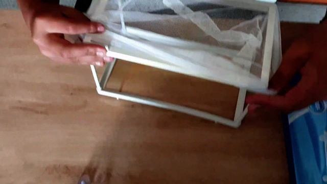 How To: Keep Guppy From Eating Baby Fry In A Single Tank смотреть онлайн