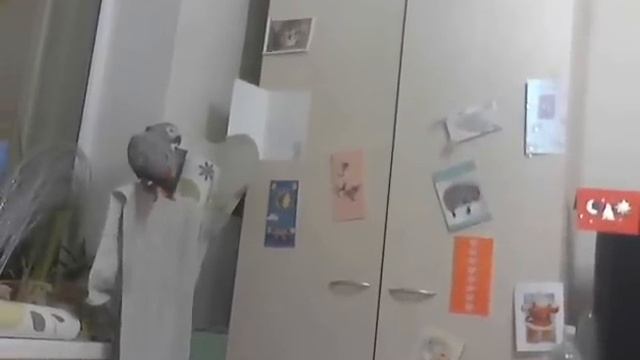 Жако говорит смотреть онлайн