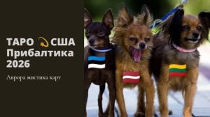 США Прибалтика 2026