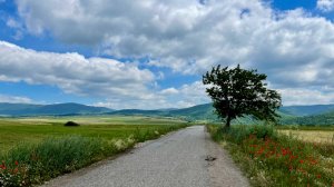 Рассказываю, как в Сербии с дорогами